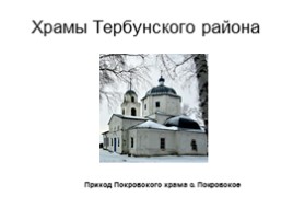 Храмы Тербунского района, слайд 8
