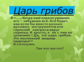 Царство грибы, слайд 5