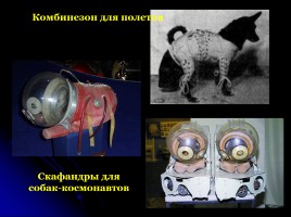 Первому полету человека в космос - 50 лет «Дорогой Гагарин!», слайд 10