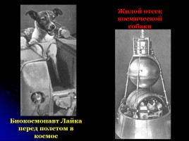 Первому полету человека в космос - 50 лет «Дорогой Гагарин!», слайд 13