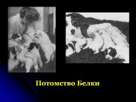 Первому полету человека в космос - 50 лет «Дорогой Гагарин!», слайд 17