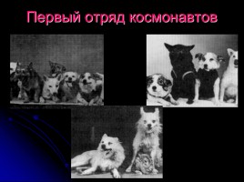 Первому полету человека в космос - 50 лет «Дорогой Гагарин!», слайд 8