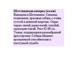 Служебные породы собак (иллюстрации для младшего школьного возраста), слайд 10