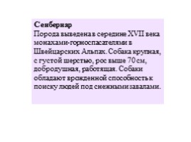 Служебные породы собак (иллюстрации для младшего школьного возраста), слайд 34