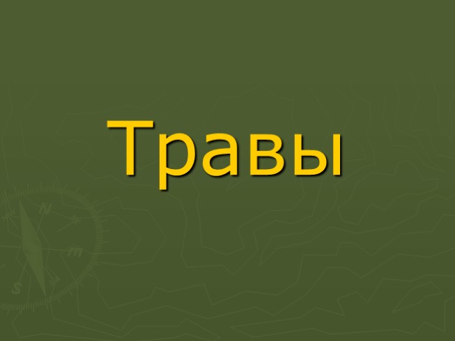 Травы и цветы