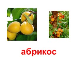 Плодовые деревья (иллюстрации для младшего школьного возраста), слайд 8