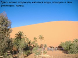 Африканская пустыня, слайд 26