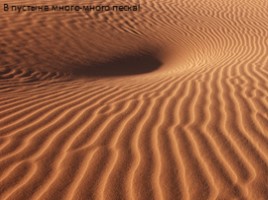 Африканская пустыня, слайд 8
