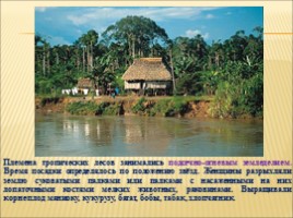 Река Амазонка, слайд 27