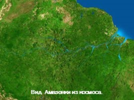 Река Амазонка, слайд 5