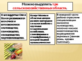 Проект 9 класса «Центральная Россия», слайд 23