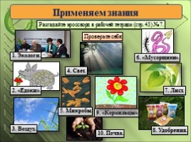 Окружающий мир 2 класс «Экологические системы», слайд 12
