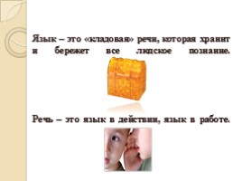 Русский язык 5 класс «Язык и языкознание», слайд 8