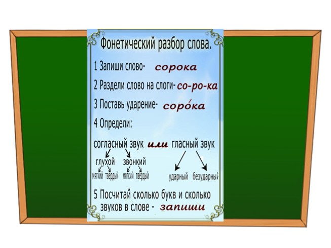 Фонетический анализ слова 5 класс. Фонетический разбор слова. Фонетический разбор слова сорока. Звуковой разбор слова сорока. Сорока разбор слова по звукам.