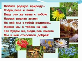 Проект «Разнообразие природы Забайкальского края», слайд 10