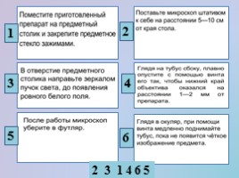 Урок биологии 5 класс «Клеточное строение организмов», слайд 4