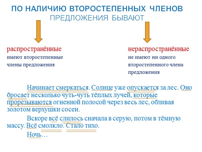 6 словосочетание и предложение