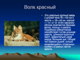 Красная книга России, слайд 8