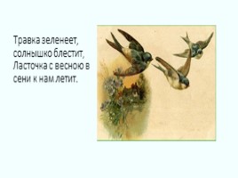 Открытое занятия по ознакомлению с окружающим по теме «Прилет птиц» (подготовительная группа), слайд 2
