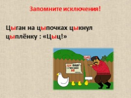 Русский язык 5 класс «Буквы Ы-И после Ц», слайд 5