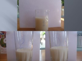Исследование качества молока, слайд 9