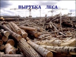 Окружающий мир 3 класс «Экологические катастрофы», слайд 15