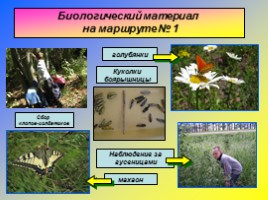 Фотоотчет - Экологический исследовательский проект «Мониторинг биоразнообразия окрестностей Юбилейного сельского поселения», слайд 5