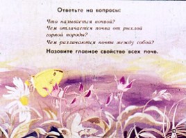 Диафильм «Почва», слайд 14