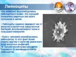 Урок окружающего мира в 4 классе по программе Л.В. Занкова «Живая вода», слайд 12