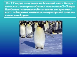 Антарктида, слайд 20