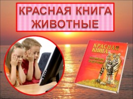 Красная книга «Животные»