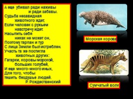 Красная книга «Животные», слайд 13