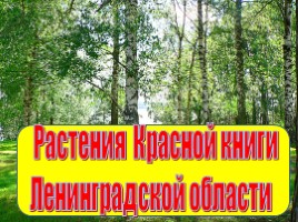 Растения Красной книги Ленинградсокй области