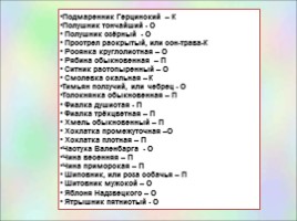 Растения Красной книги Ленинградсокй области, слайд 14