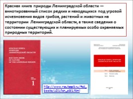 Красная книга Ленинградской области «Звери», слайд 2