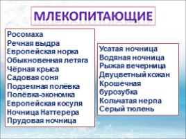Красная книга Ленинградской области «Звери», слайд 3