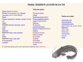 Красная книга Ленинградской области «Рыбы», слайд 2