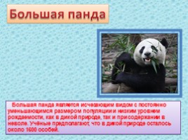 10 исчезающих видов животных в 2010 году по мнению WWF, слайд 24