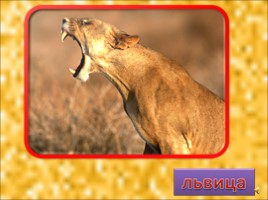Животные Африки, слайд 7