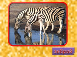 Животные Африки, слайд 9