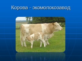 Научная работа «Откуда берется молоко? Животноводческое хозяйство Орловской области», слайд 2