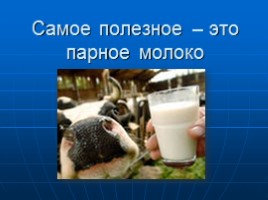 Научная работа «Откуда берется молоко? Животноводческое хозяйство Орловской области», слайд 5