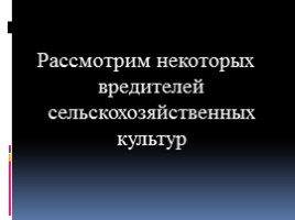 Вредители сельскохозяйственных культур, слайд 28