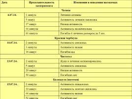 Влияние фитонцидов различных растений на жизнедеятельность колорадского жука, слайд 12