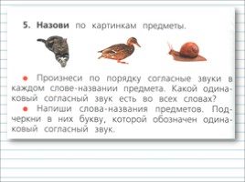 Русский язык 2 класс - Урок 29 «Слова с удвоенными согласными», слайд 15