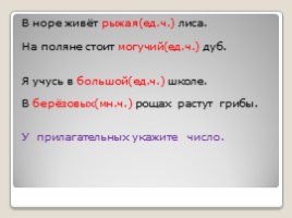 Русский язык 2 класс «Имя прилагательное», слайд 13