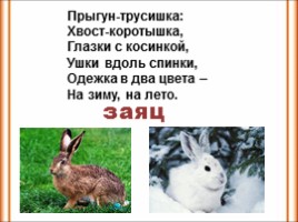Русский язык 2 класс - Изложение «Зайчик», слайд 2