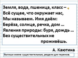 Русский язык 3 класс - Урок 24 «Имя существительное», слайд 5