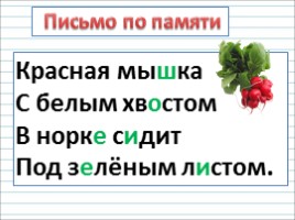 Русский язык 3 класс - Урок 25 «Имя прилагательное», слайд 13