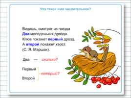 Русский язык 3 класс - Урок 27 «Имя числительное», слайд 14